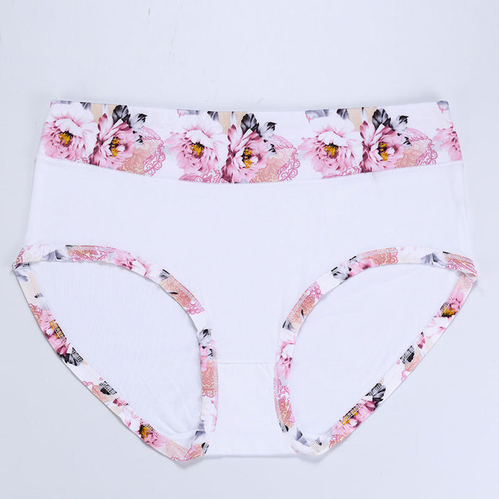 Large size high waisted cotton panites